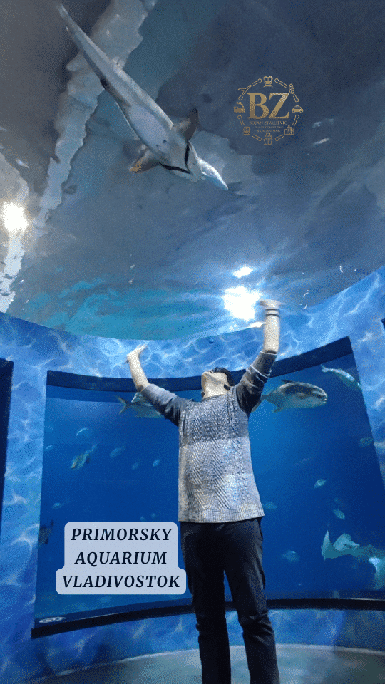 Bojan Travel Experiences and & Planning Bojan Zivaljevic Travel Planning And & Organising Traveller Vladivostok Primorsky Aquarium Russia Far East Asia