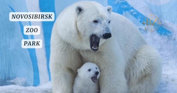 Stolby Nature Reserve Krasnoyarsk Bojan Zivaljevic Travel Planning and & Organising Bojan Travel Experiences and & Planning Traveller Russia Siberia