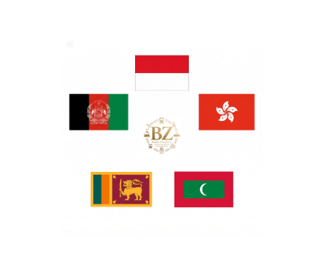 Indonesia, Hong Kong, Sri Lanka, Maldives, Aghanistan as countries with Moscow as only direct line to and from Russia Flags in Ring Circle